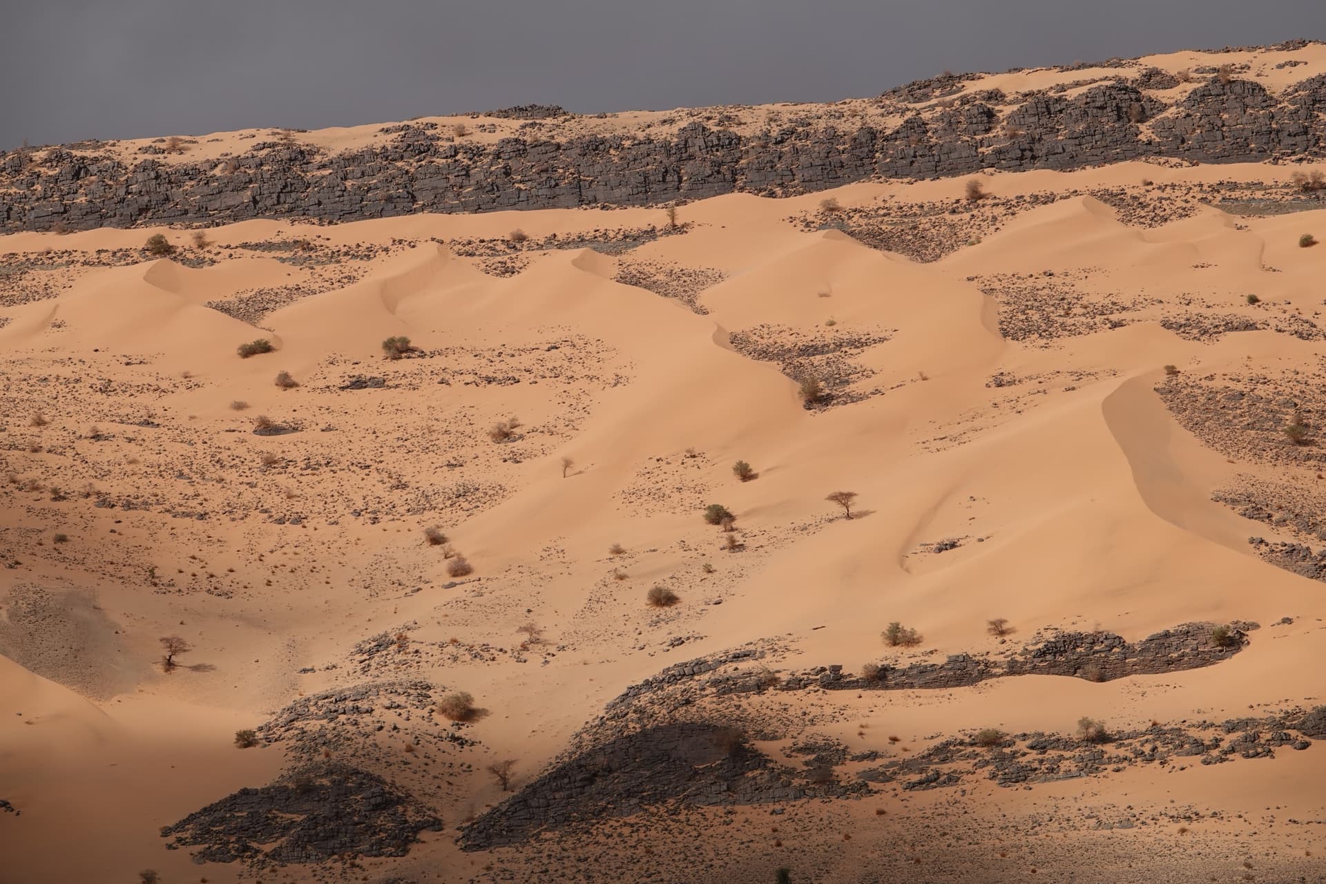 Djebel Ouarkziz