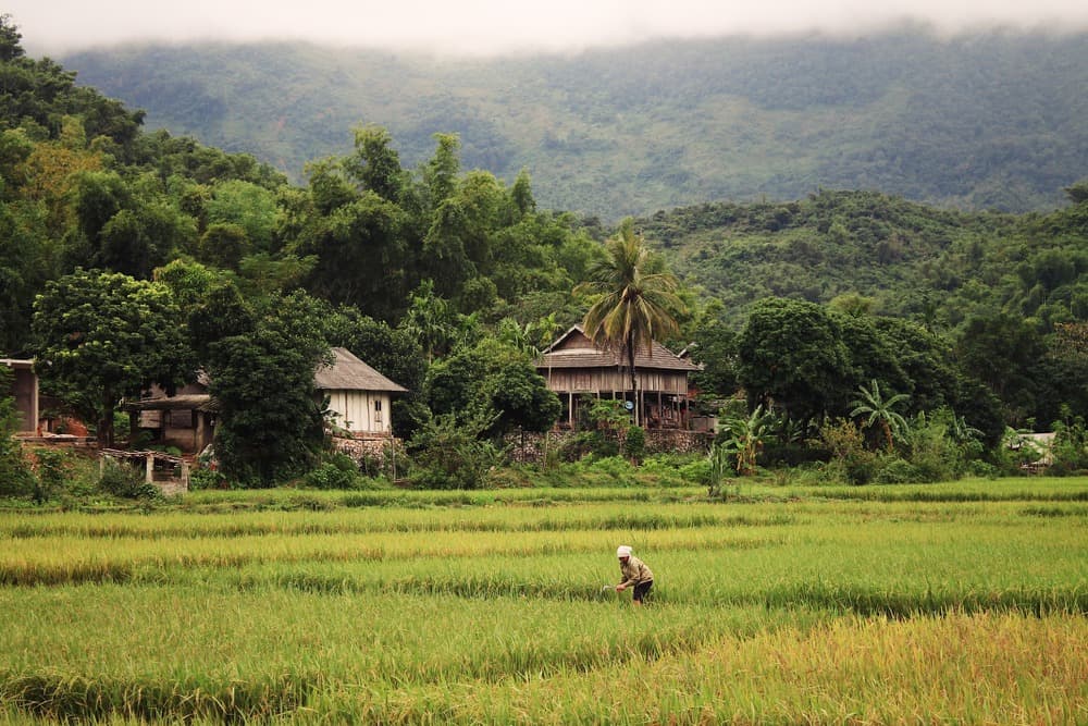 Mai Chau