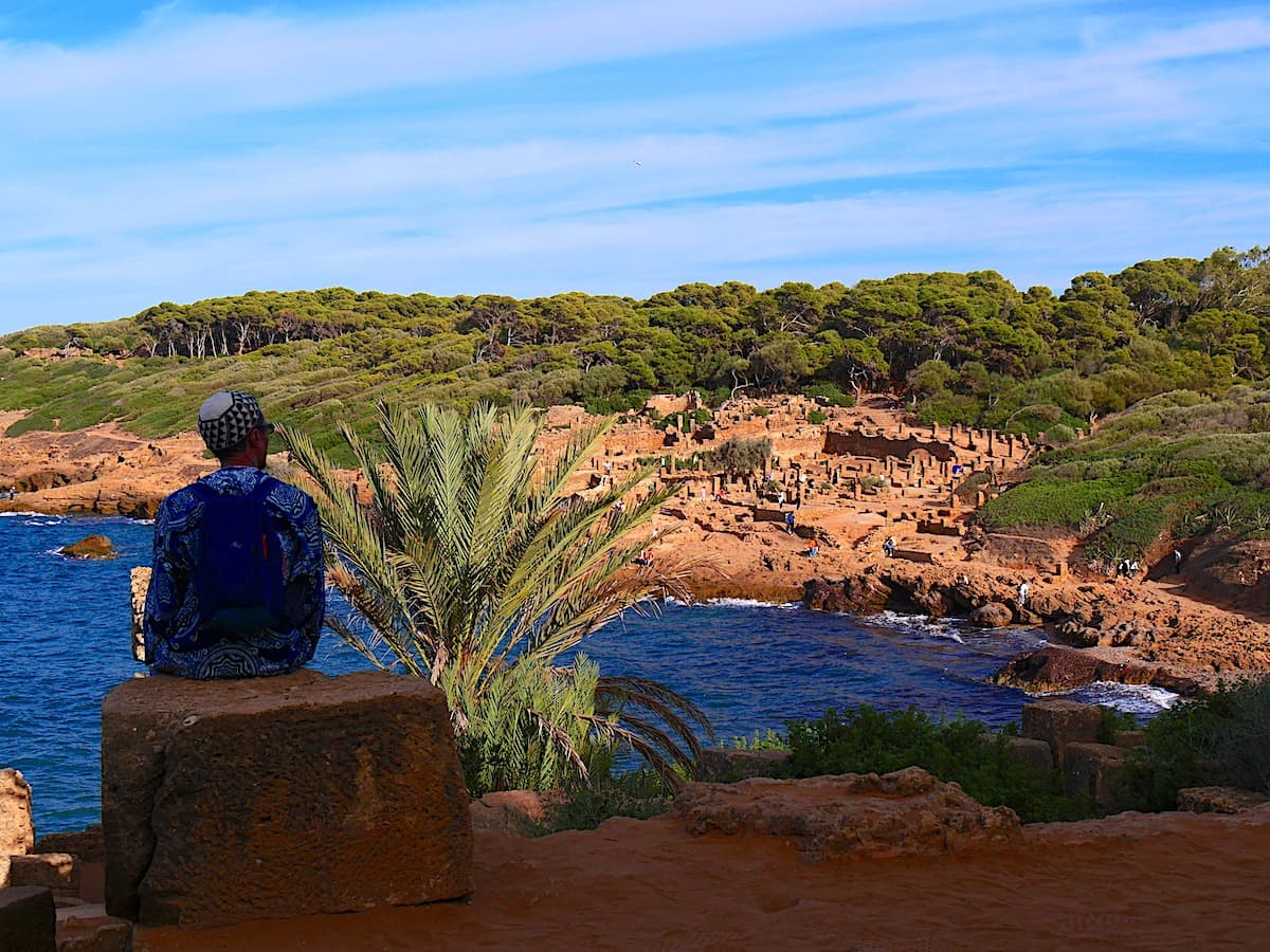 Tipaza