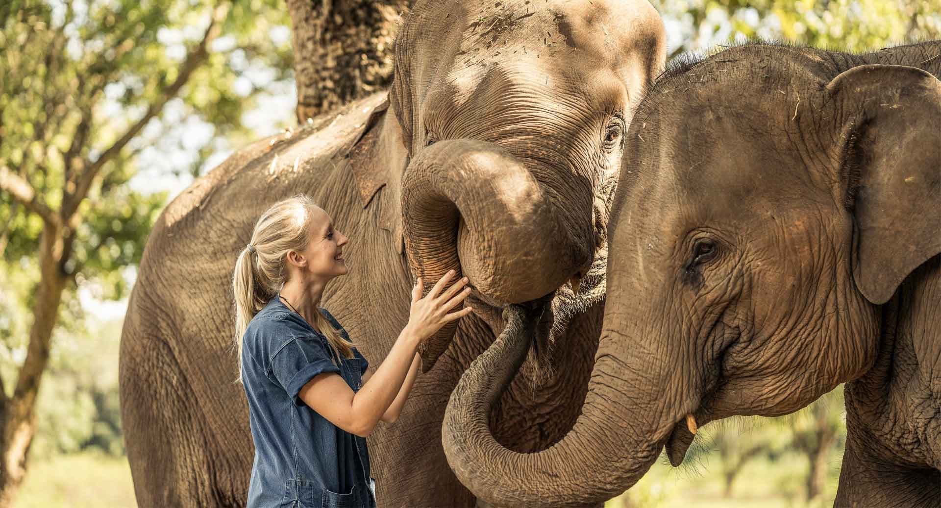 Immersion et volontariat au sanctuaire des éléphants