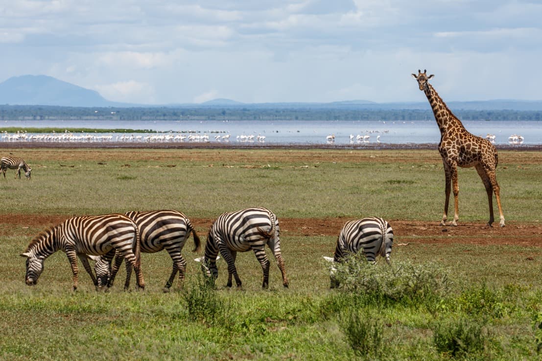 Lac Manyara