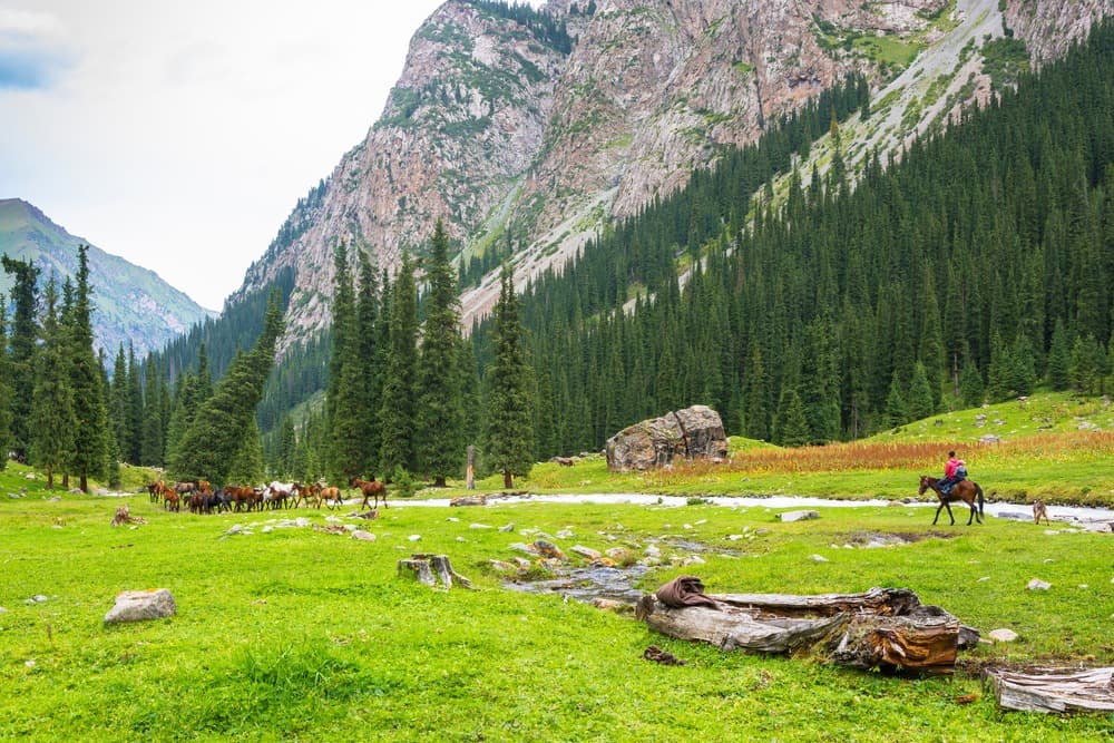 Vallée de Kashka-Suu
