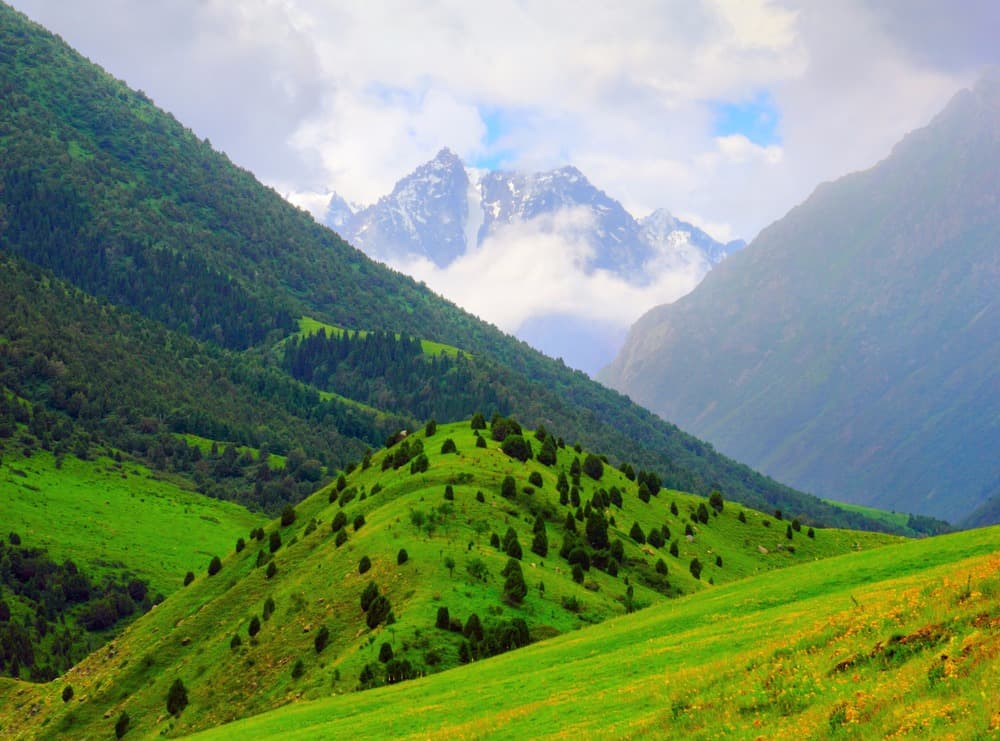 Parc national d'Ala-Artcha
