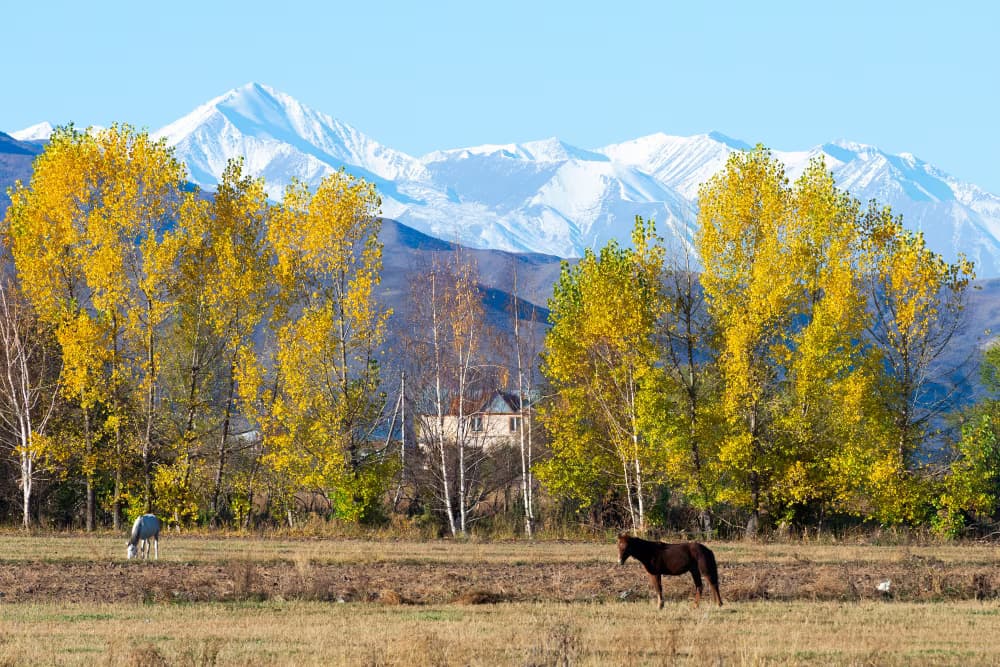 Le parc national Chon-Kemin