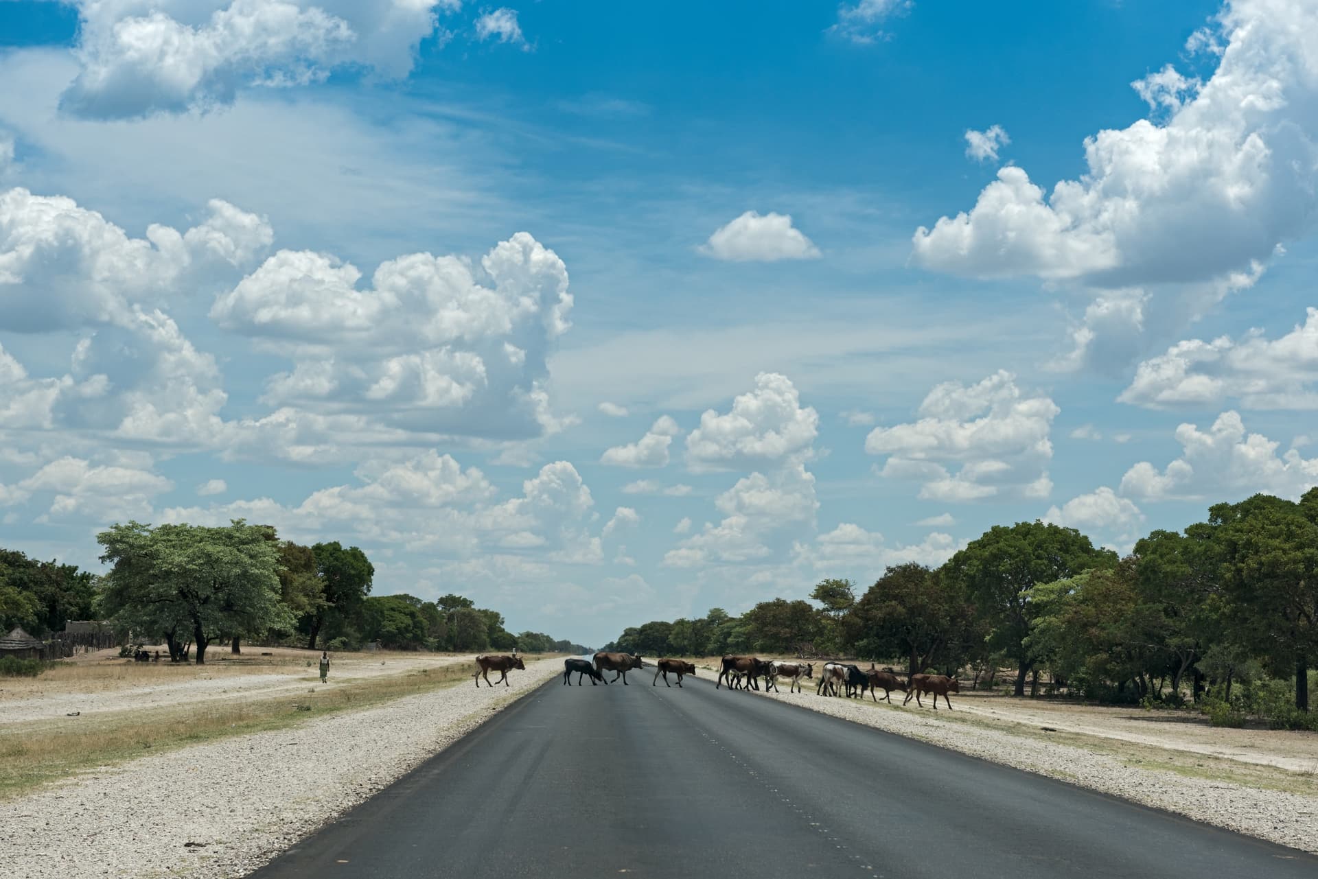Rundu