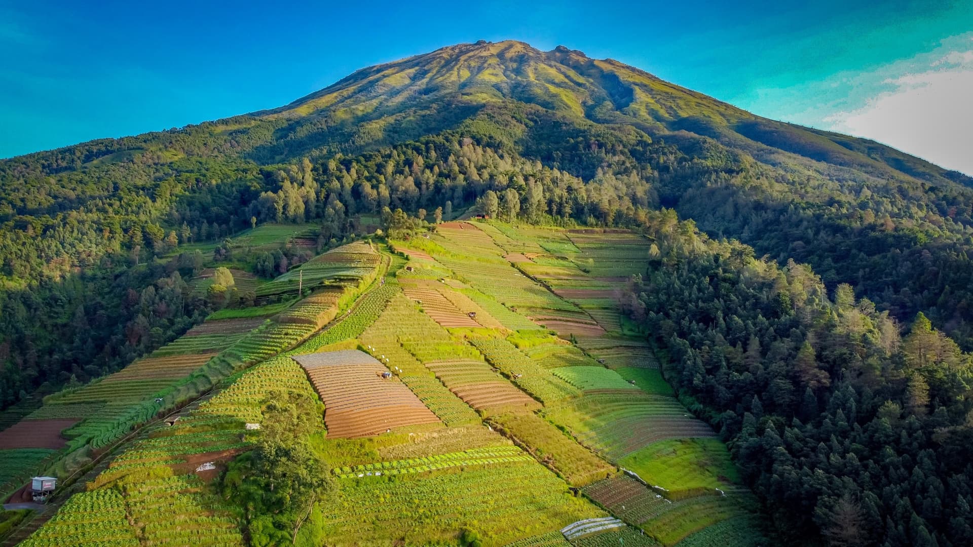 Magelang