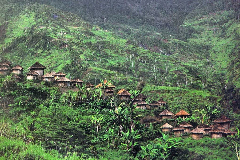 Papouasie : Immersion chez les Yali