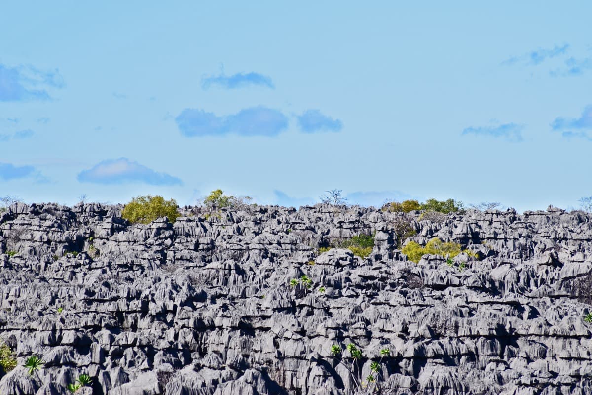 Tsingy de l'Ankarana