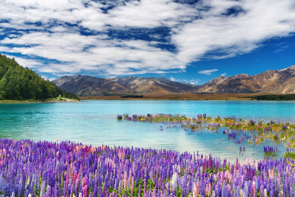 Lac Tekapo