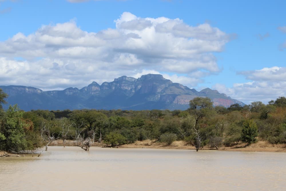 Voyage 100% Francophone : Safari et Plages en Afrique Australe