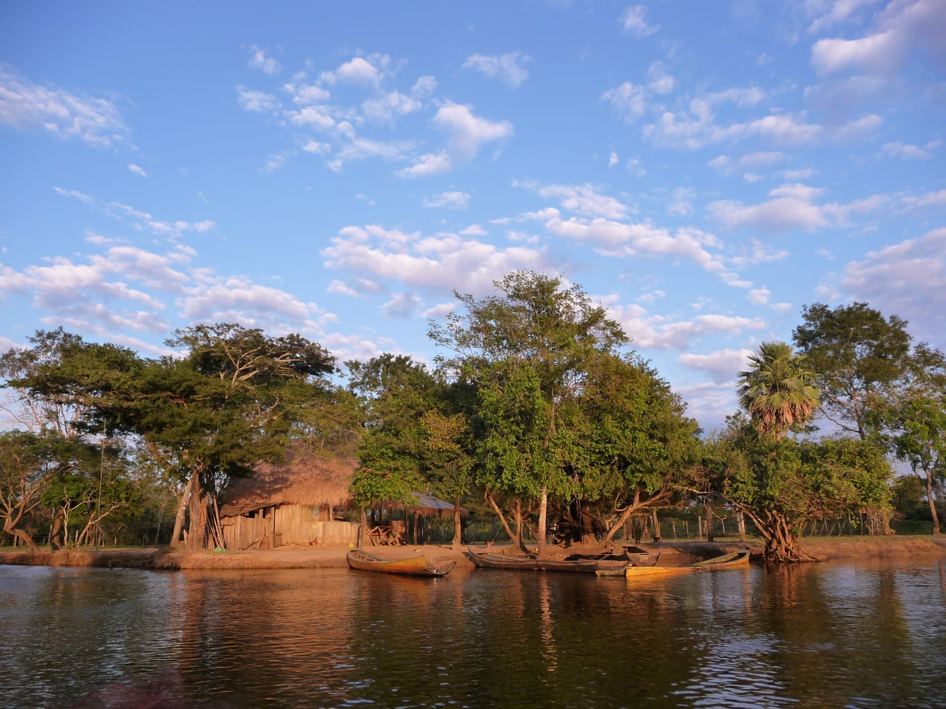 Parc National Madidi