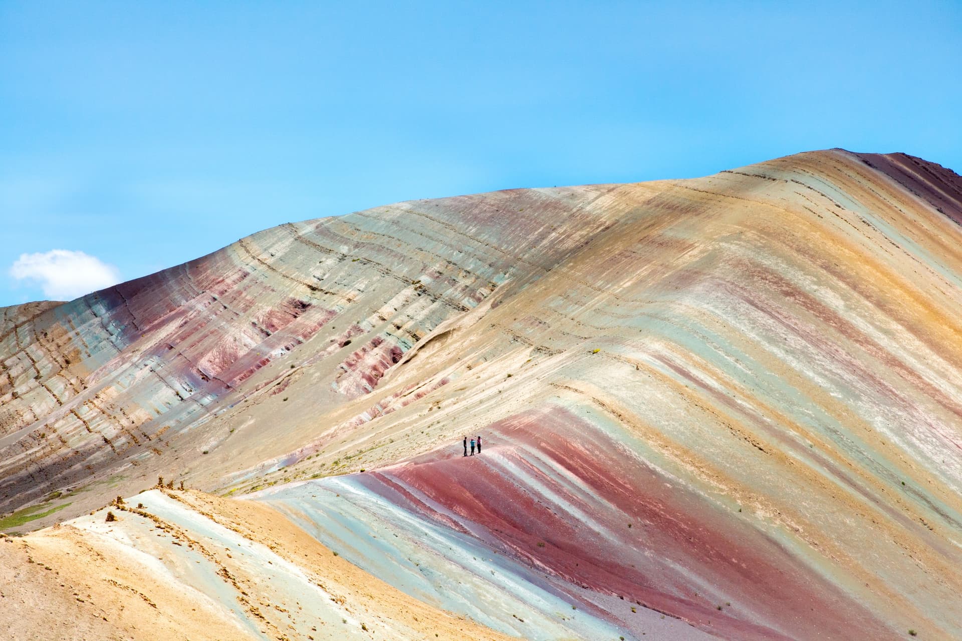 Palcoyo