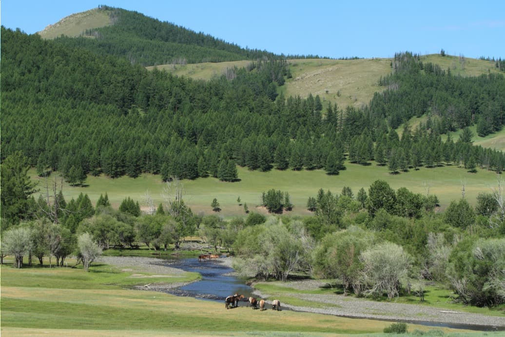 Parc national de Terelj