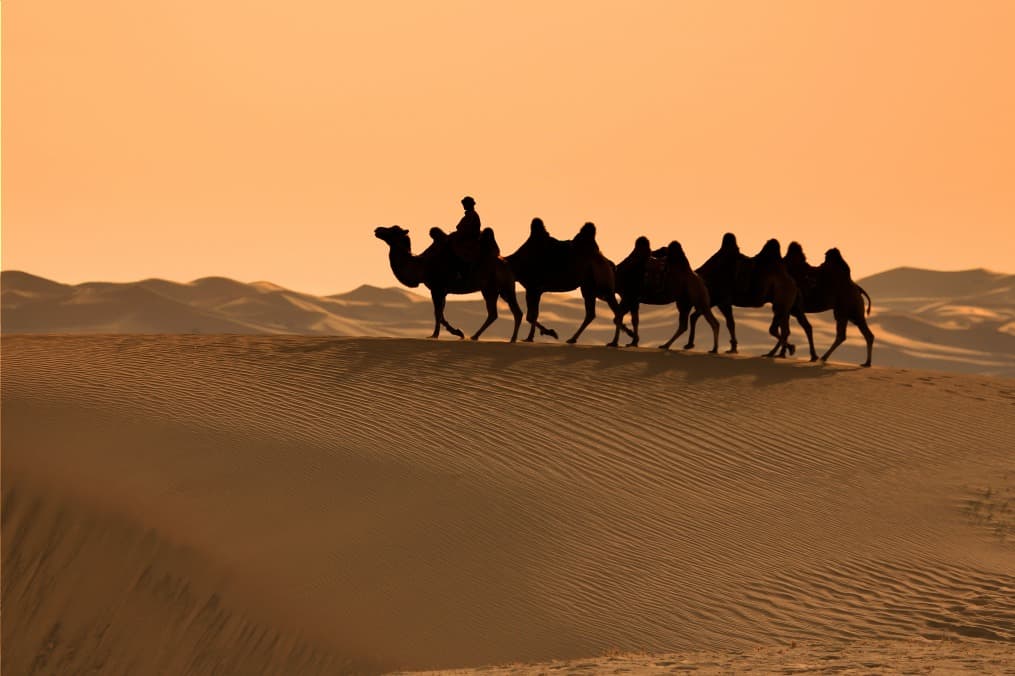 Les trois merveilles du Gobi